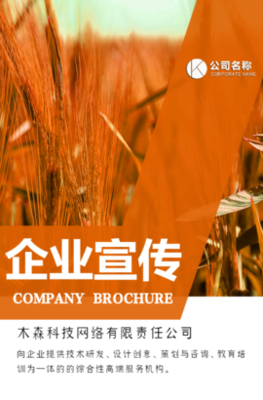木森網絡 以城市智慧基因，驅動數字創新未來